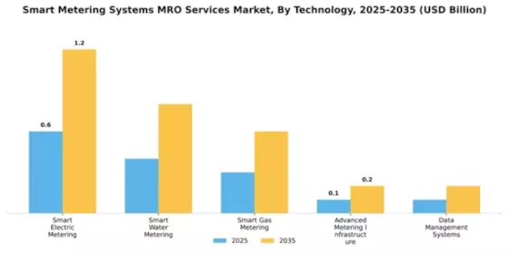 Smart Metering Systems MRO Services Market Segment Image 4