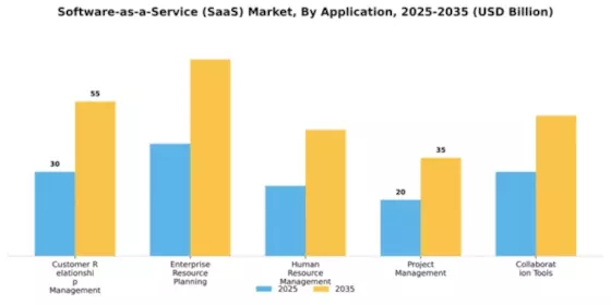 Software-as-a-Service (SaaS) Market Segment Image 0