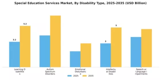 Special Education Services Market Segment Image 1