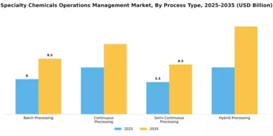 Specialty Chemicals Operations Management Market Segment Image 3