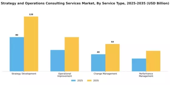 Strategy and Operations Consulting Services Market Segment Image 4