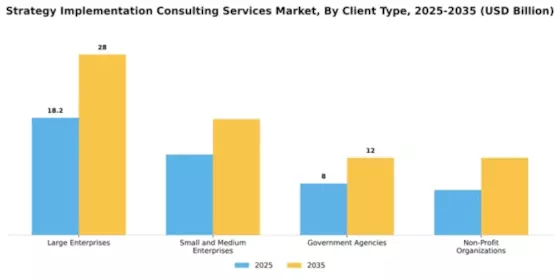 Strategy Implementation Consulting Services Market Segment Image 0