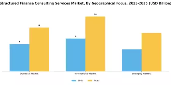 Structured Finance Consulting Services Market Segment Image 2