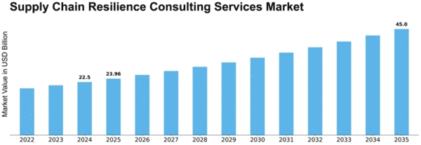 Supply Chain Resilience Consulting Services Market Size