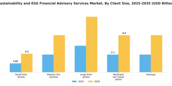 Sustainability and ESG Financial Advisory Services Market Segment Image 1