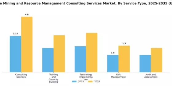 Sustainable Mining and Resource Management Consulting Services Market Segment Image 4