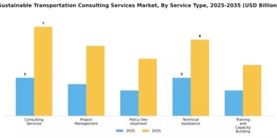 Sustainable Transportation Consulting Services Market Segment Image 3