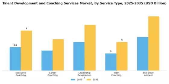 Talent Development and Coaching Services Market Segment Image 3