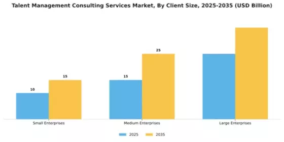 Talent Management Consulting Services Market Segment Image 0