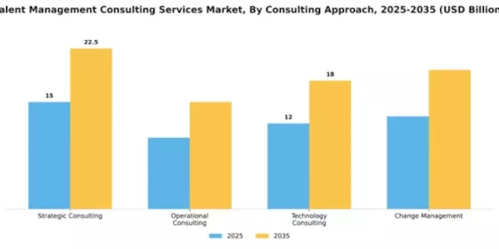 Talent Management Consulting Services Market Segment Image 1