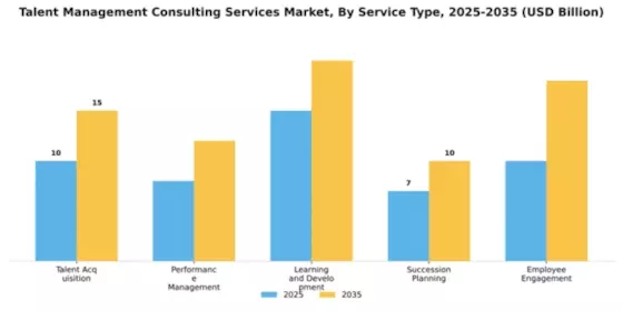 Talent Management Consulting Services Market Segment Image 3