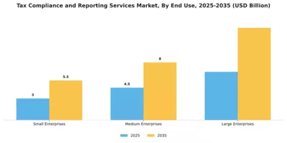 Tax Compliance and Reporting Services Market Segment Image 2