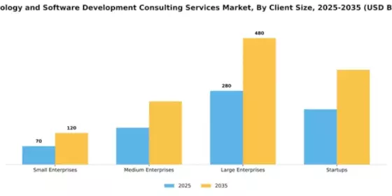 Technology and Software Development Consulting Services Market Segment Image 0