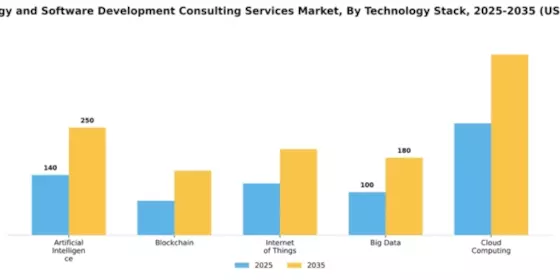 Technology and Software Development Consulting Services Market Segment Image 3
