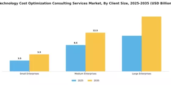 Technology Cost Optimization Consulting Services Market Segment Image 0