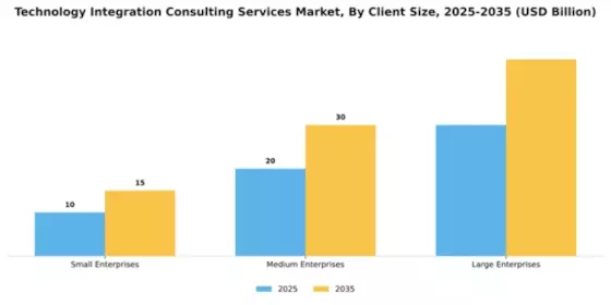 Technology Integration Consulting Services Market Segment Image 0