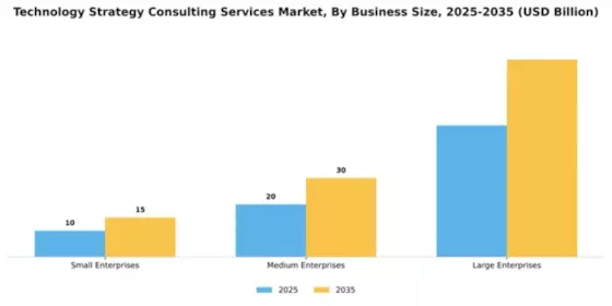 Technology Strategy Consulting Services Market Segment Image 1