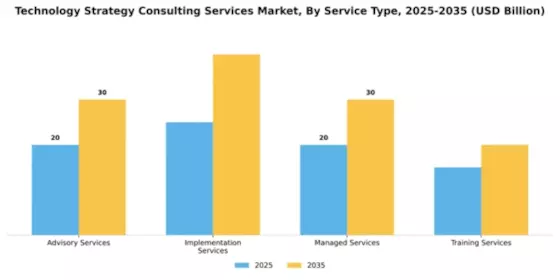 Technology Strategy Consulting Services Market Segment Image 4