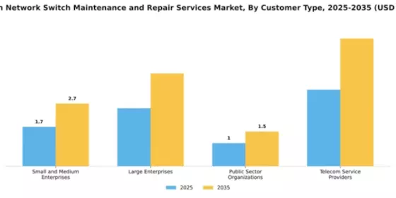 Telecom Network Switch Maintenance and Repair Services Market Segment Image 1