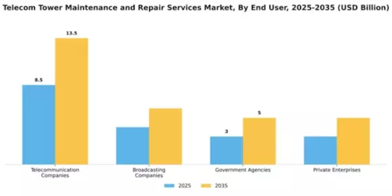 Telecom Tower Maintenance and Repair Services Market Segment Image 1