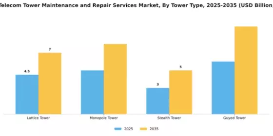 Telecom Tower Maintenance and Repair Services Market Segment Image 3