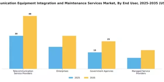 Telecommunication Equipment Integration and Maintenance Services Market Segment Image 1
