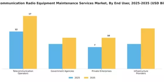 Telecommunication Radio Equipment Maintenance Services Market Segment Image 1