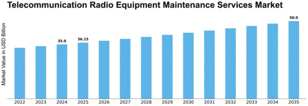 Telecommunication Radio Equipment Maintenance Services Market Size