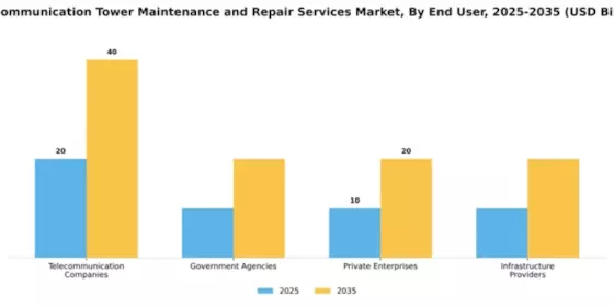 Telecommunication Tower Maintenance and Repair Services Market Segment Image 1