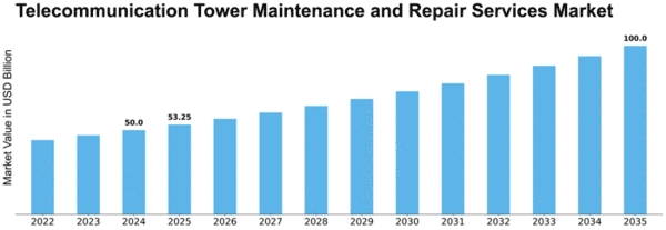 Telecommunication Tower Maintenance and Repair Services Market Size