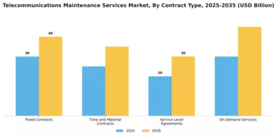 Telecommunications Maintenance Services Market Segment Image 1