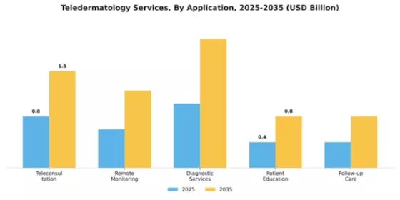 Teledermatology Services Market Segment Image 0