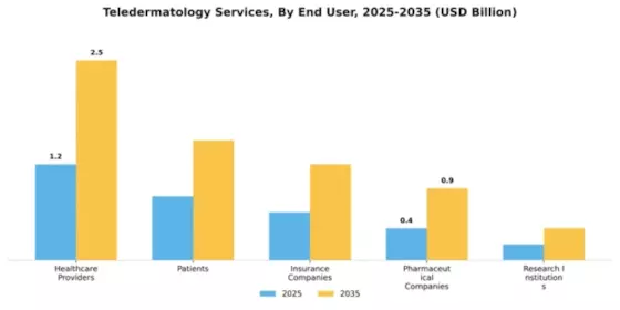 Teledermatology Services Market Segment Image 1