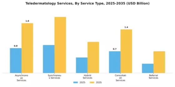 Teledermatology Services Market Segment Image 2