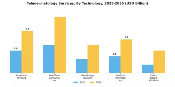 Teledermatology Services Market Segment Image 3