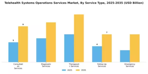 Telehealth Systems Operations Services Market Segment Image 3