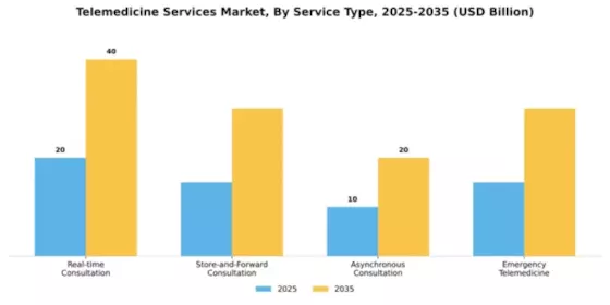 Telemedicine Services Market Segment Image 2