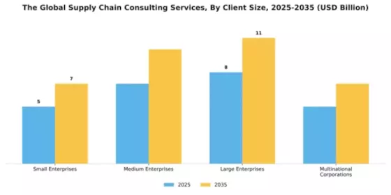 Global Supply Chain Consulting Services Market Segment Image 0