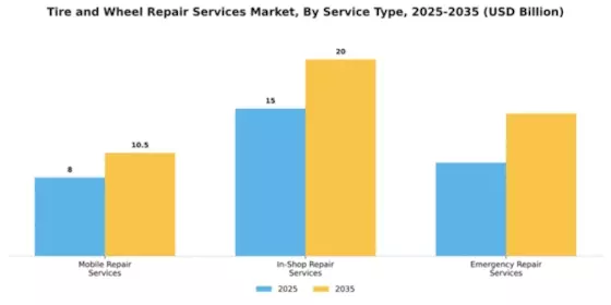 Tire and Wheel Repair Services Market Segment Image 3