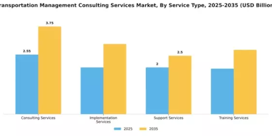 Transportation Management Consulting Services Market Segment Image 2