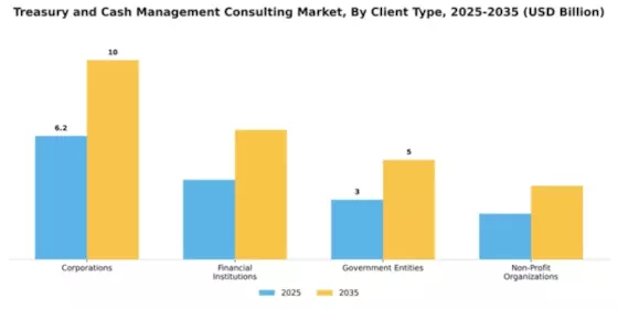 Treasury and Cash Management Consulting Market Segment Image 0