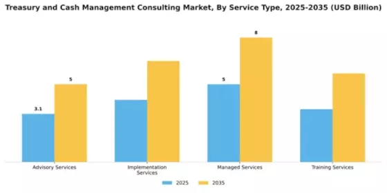 Treasury and Cash Management Consulting Market Segment Image 2