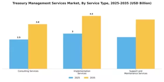 Treasury Management Services Market Segment Image 3