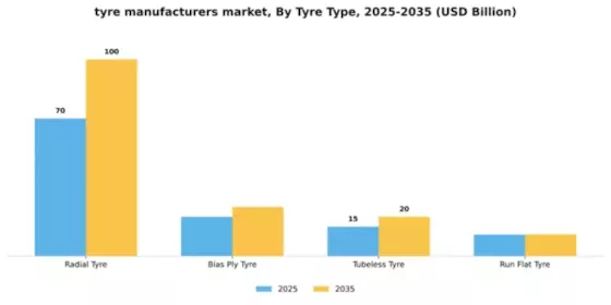 Tyre Manufacturers Market Segment Image 3