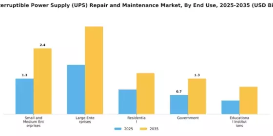 Uninterruptible Power Supply (UPS) Repair and Maintenance Market Segment Image 1