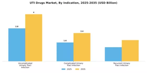 UTI Drugs Market Segment Image 2