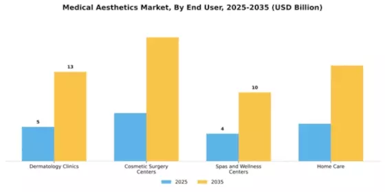 Medical Aesthetics Market Segment Image 1
