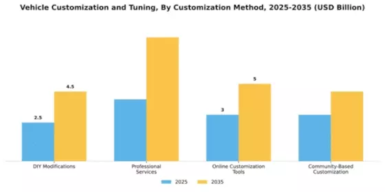 Vehicle Customization and Tuning Market Segment Image 1