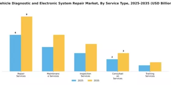 Vehicle Diagnostic and Electronic System Repair Market Segment Image 2