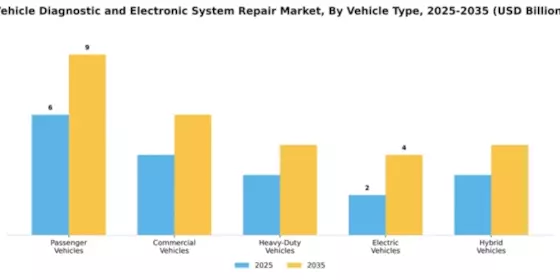 Vehicle Diagnostic and Electronic System Repair Market Segment Image 4